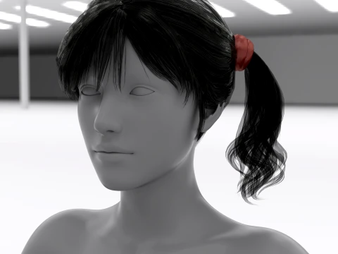 Amy Pigtails Bundle for Genesis 8 and 81 Female 3D Model