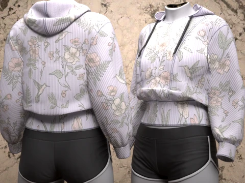 Park Hoodie for Genesis 9- OBJs 3D Model