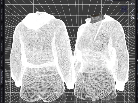 Park Hoodie for Genesis 9- OBJs 3D Model