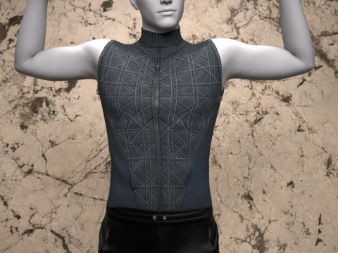 Apex Top for Genesis 8 81 Male 3D Model