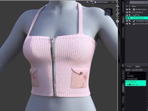 Rose Top Freebie for Genesis 9 3D Model