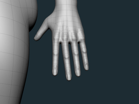 Stylized female basemesh 3D 模型