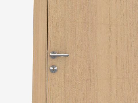Oak Wooden door 3D 모델