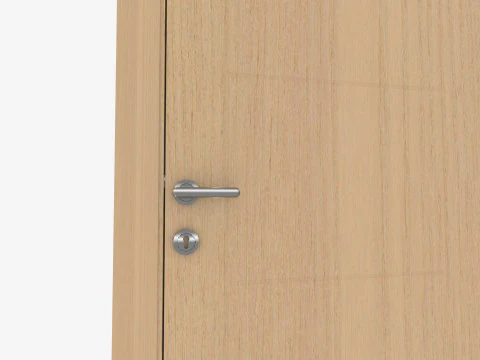 Oak Wooden door 3D Model