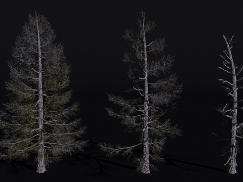 Pack of TreesLarch Siberian BareLodgepole PineNorway SpruceQuacking AspenRed Cherry 3D 模型