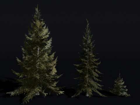 Pack of TreesRed CoralSabalpine FirScots PineSiberian ElmSiberian LarchSiberian PineSiberian 3D Model