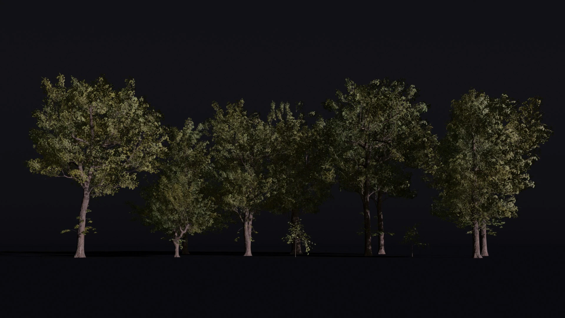 Alder tree Set 3D Model .c4d .max .obj .3ds .fbx .stl .blend 