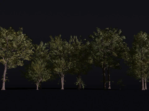 오리나무 세트 3D 모델