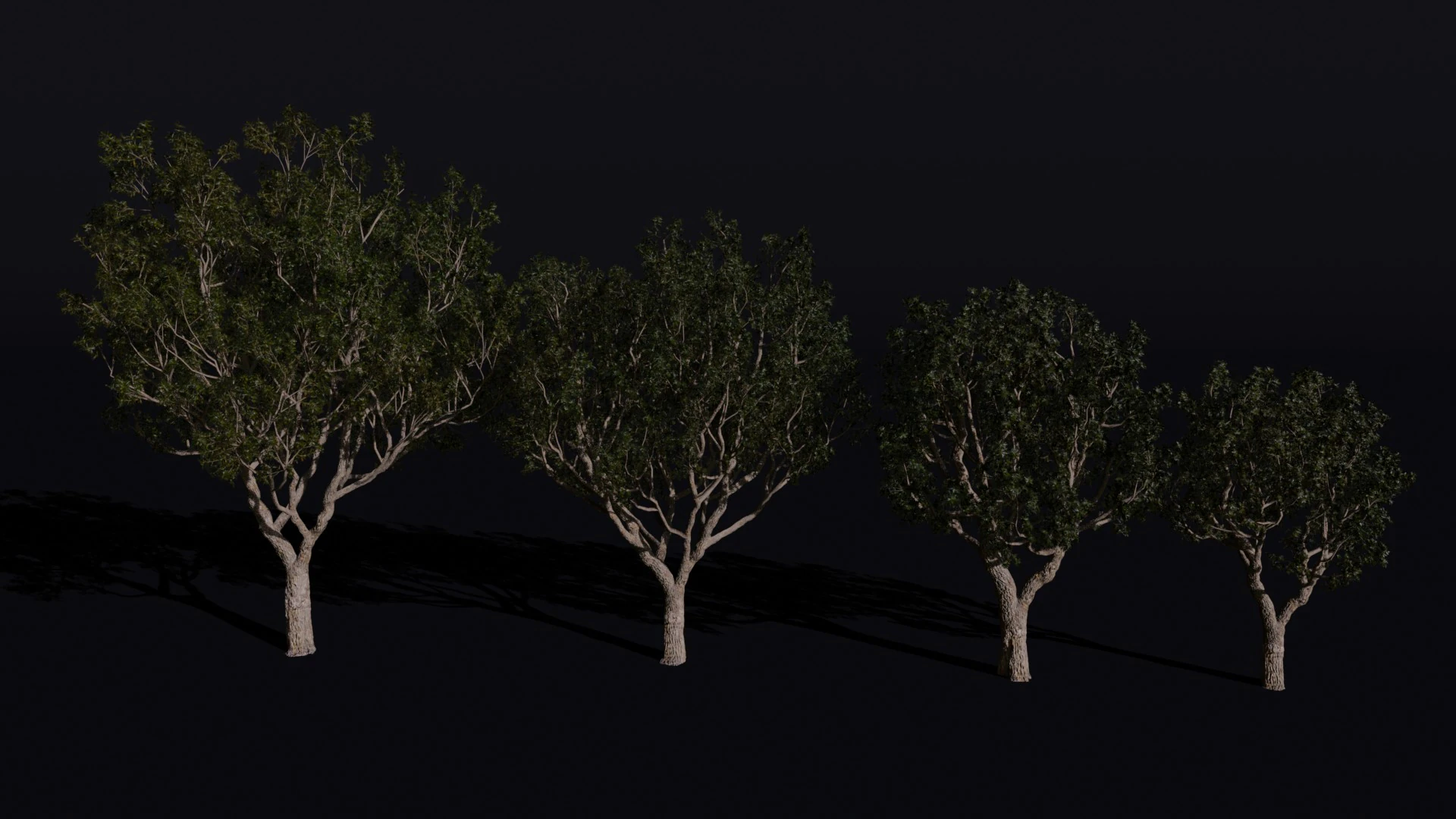 The Black Board Tree 3D Model .c4d .max .obj .3ds .fbx .stl .blend