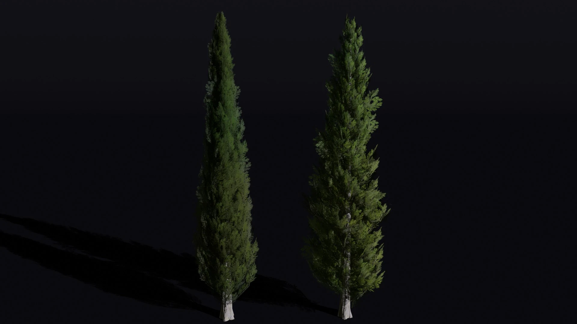 The Cypress Tree 3D Model .c4d .max .obj .3ds .fbx .stl .blend