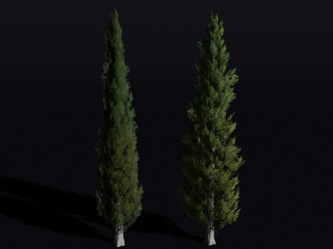The Cypress Tree 3D Модель