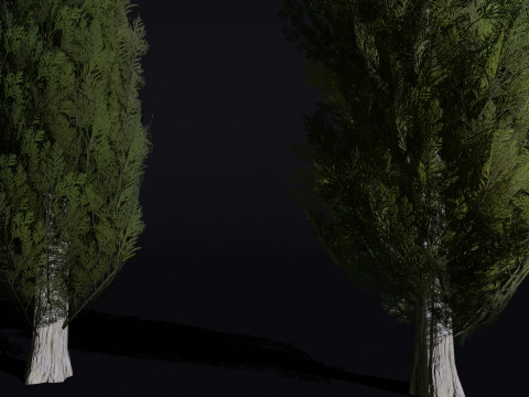 The Cypress Tree 3D Modell