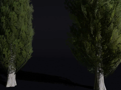 The Cypress Tree 3D Model