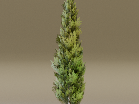 The Cypress Tree 3D Modell