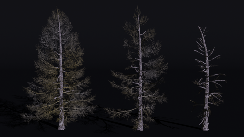 The Larch Siberian Bare Tree 3D Model .c4d .max .obj .3ds .fbx .stl .blend