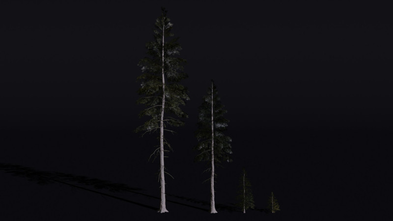 The Norway Spruce Tree Modelo 3D .c4d .max .obj .3ds .fbx .stl .blend