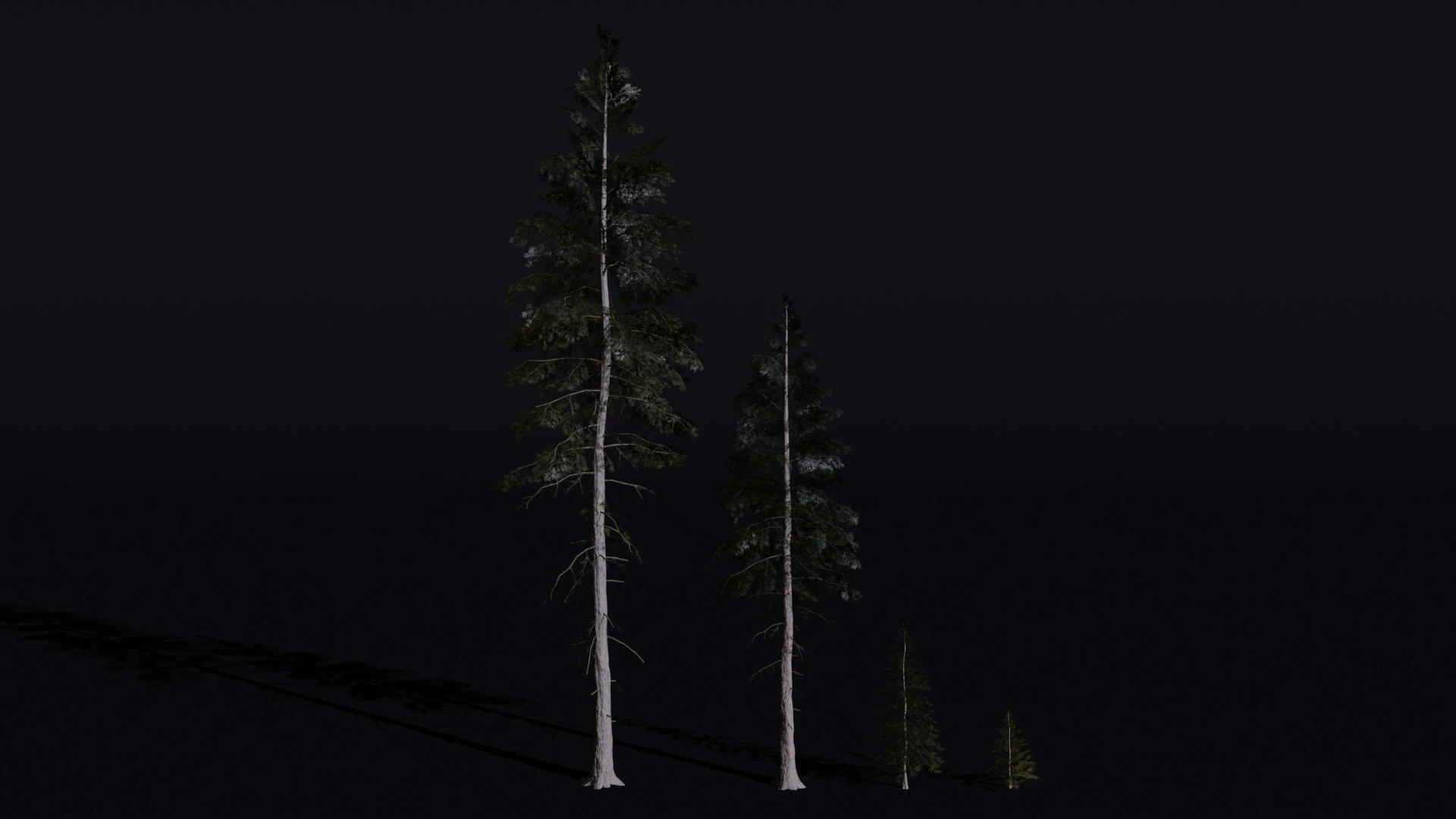 The Norway Spruce Tree 3D Model .c4d .max .obj .3ds .fbx .stl .blend