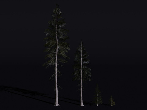 The Norway Spruce Tree Modelo 3D