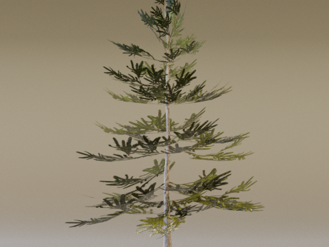 The Norway Spruce Tree Modelo 3D
