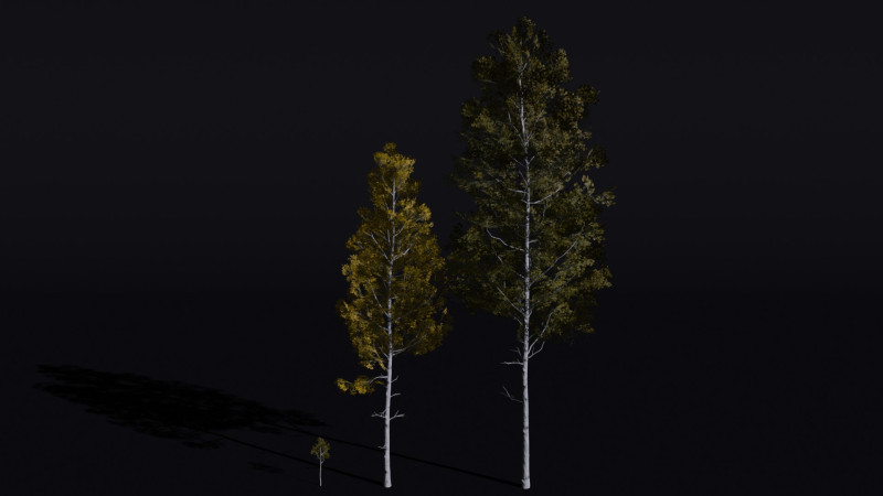 The Quaking Aspen Tree Modello 3D .c4d .max .obj .3ds .fbx .stl .blend