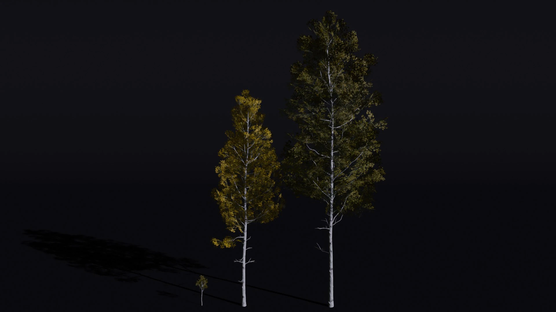 The Quaking Aspen Tree 3D Model .c4d .max .obj .3ds .fbx .stl .blend 