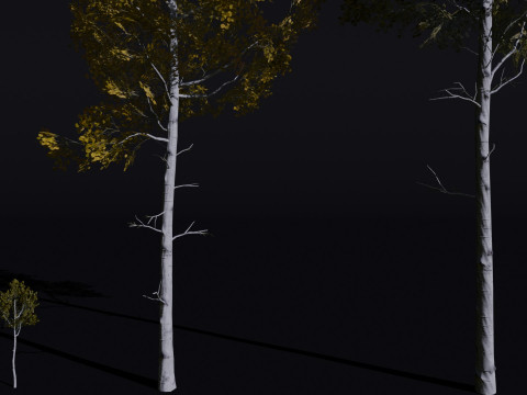 The Quaking Aspen Tree Modello 3D
