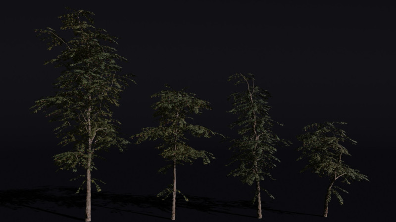 The Red Cherry Tree Modèle 3D .c4d .max .obj .3ds .fbx .stl .blend