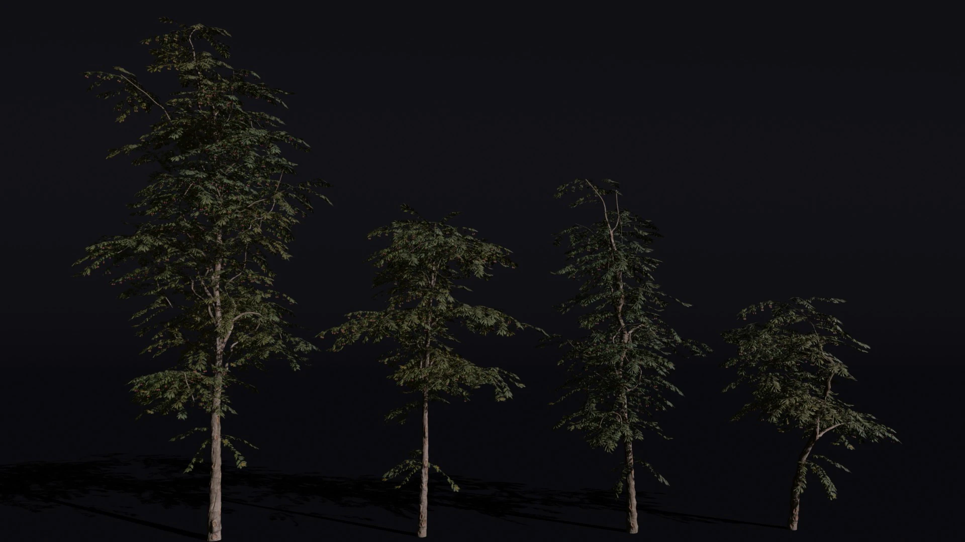 The Red Cherry Tree 3D Model .c4d .max .obj .3ds .fbx .stl .blend 