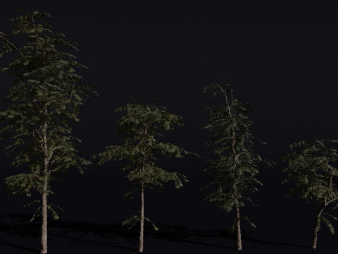 The Red Cherry Tree 3D Модель