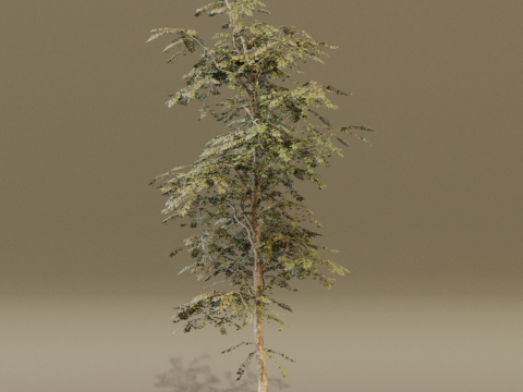 The Red Cherry Tree Modèle 3D