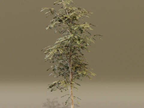 The Red Cherry Tree 3D Model