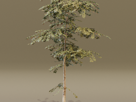 The Red Cherry Tree Modèle 3D