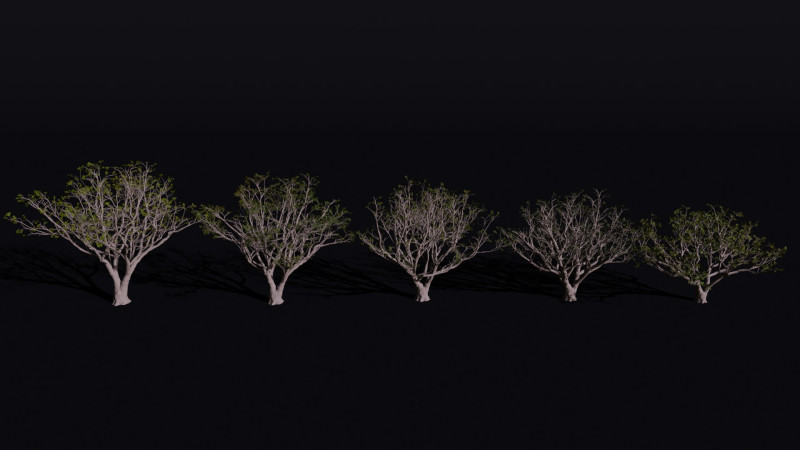 The Red Coral Tree 3D Modell .c4d .max .obj .3ds .fbx .stl .blend