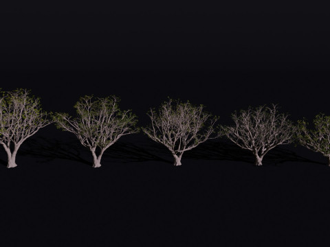 The Red Coral Tree 3D Model