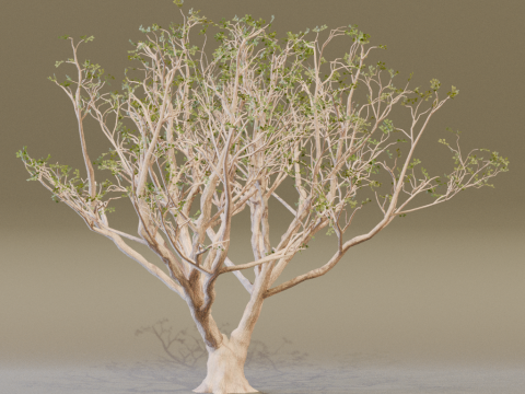 The Red Coral Tree 3D Modell