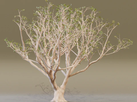 The Red Coral Tree 3D Model
