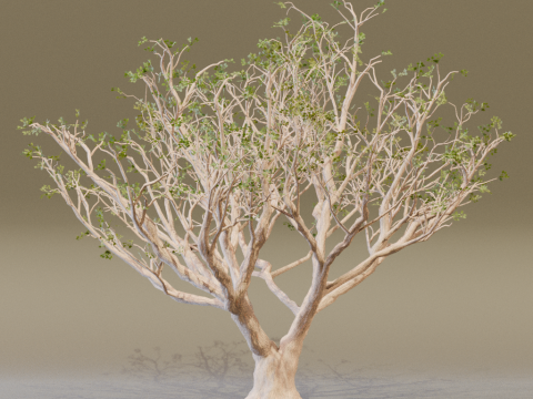 The Red Coral Tree 3D Modell