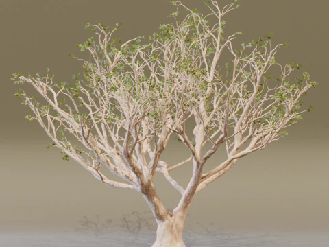 The Red Coral Tree 3D Model