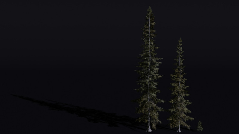 The Sabalpine Fir Tree Modèle 3D .c4d .max .obj .3ds .fbx .stl .blend