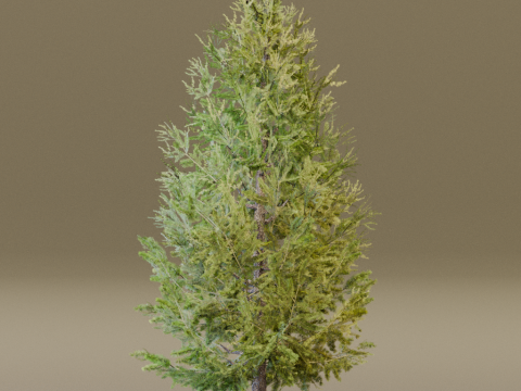 The Siberian Larch Tree 3D Model