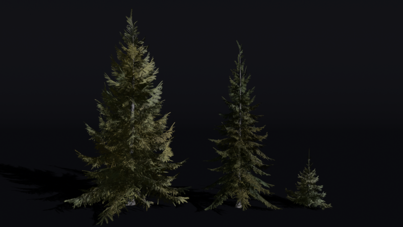 The Siberian Spruce Tree Modello 3D .c4d .max .obj .3ds .fbx .stl .blend
