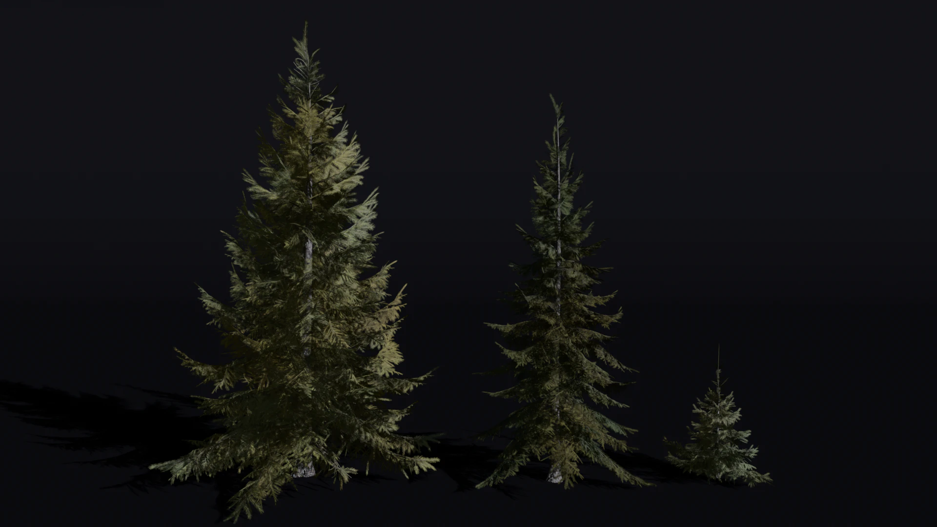 The Siberian Spruce Tree 3D Model .c4d .max .obj .3ds .fbx .stl .blend 