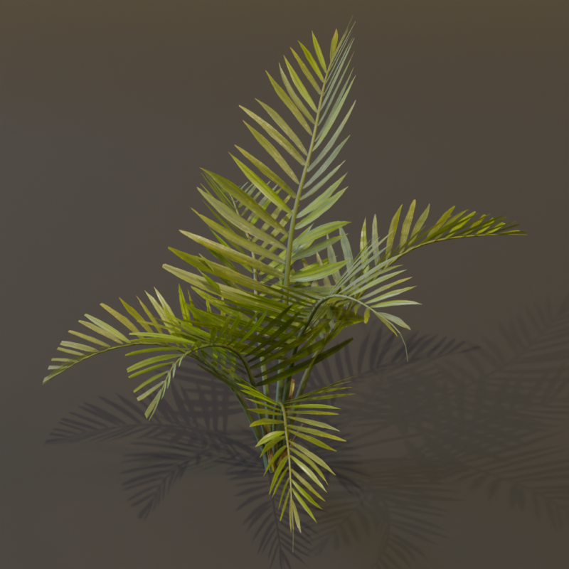 The Alexandra Palm Bush Modello 3D .c4d .max .obj .3ds .fbx .stl .blend