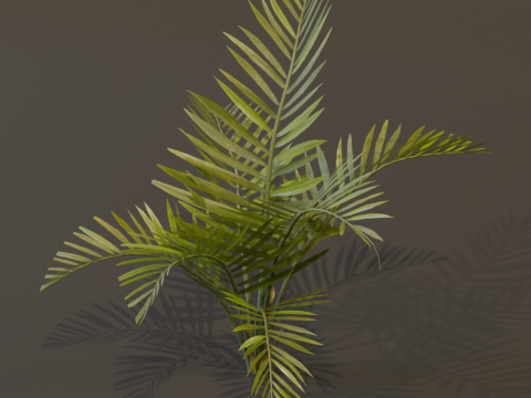 The Alexandra Palm Bush 3D 模型