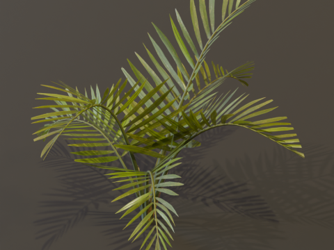 The Alexandra Palm Bush Modello 3D