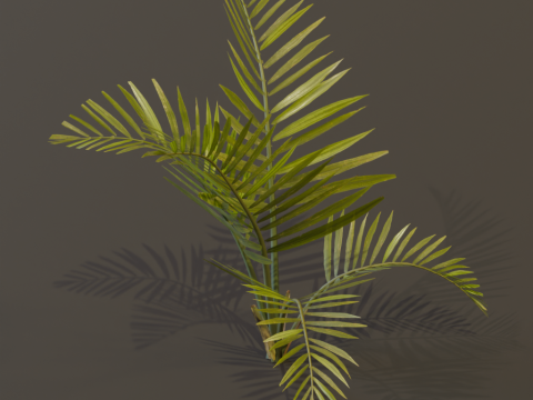 The Alexandra Palm Bush Modello 3D