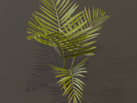 The Alexandra Palm Bush Modello 3D