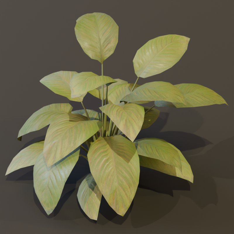 The BroadLeaf Lily Bush 3D Model .c4d .max .obj .3ds .fbx .stl .blend 