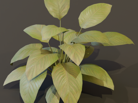 The BroadLeaf Lily Bush 3Dモデル