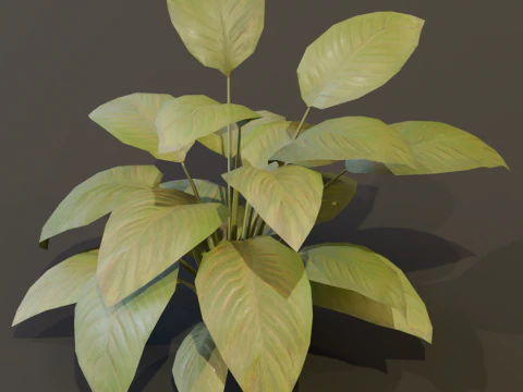 The BroadLeaf Lily Bush 3D Model